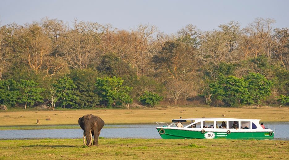 Kabini ESG Expedition