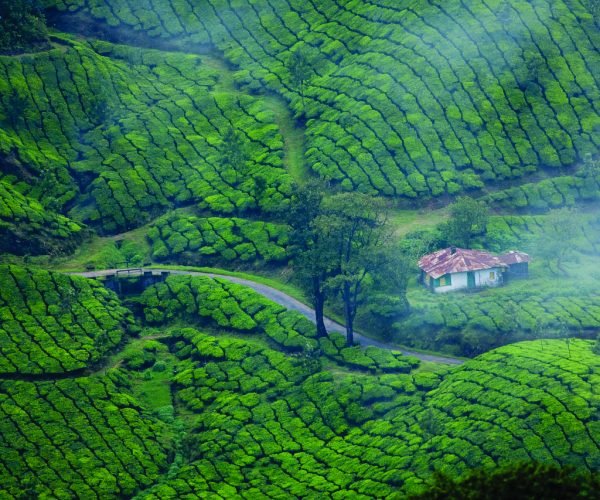 Munnar